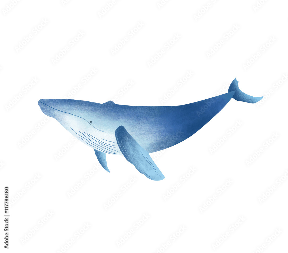Obraz premium クジラ