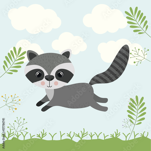 raccoon cute wildlife icon vector isolated graphic