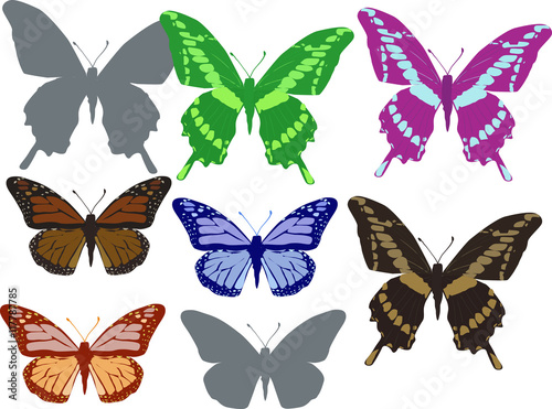 Wallpaper Mural eight color butterflies isolated on white Torontodigital.ca