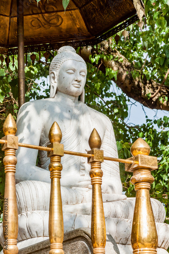 A statue of Buddha at the Buddhist Kelaniya temple in Sri Lanka. photo