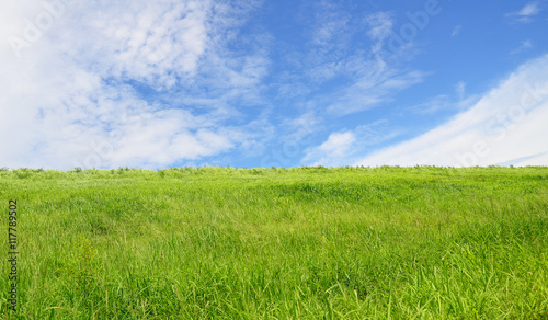 Green field and blue sky with light clouds 