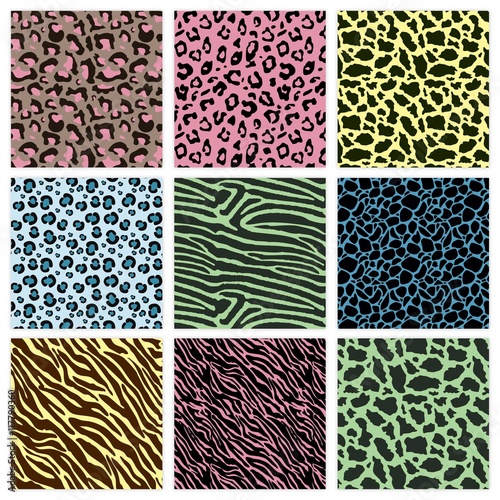 Colorful animal prints patterns