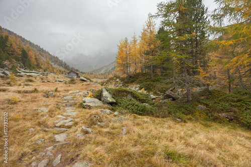 walking at fall in a cloudy day in a mountain valley