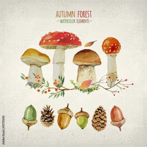 Watercolor elements of autumn forest