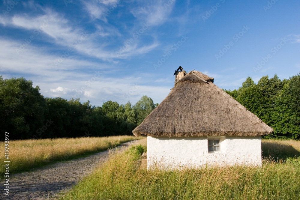 Authentic Ukrainian village house. Authentic Ukrainian village house.