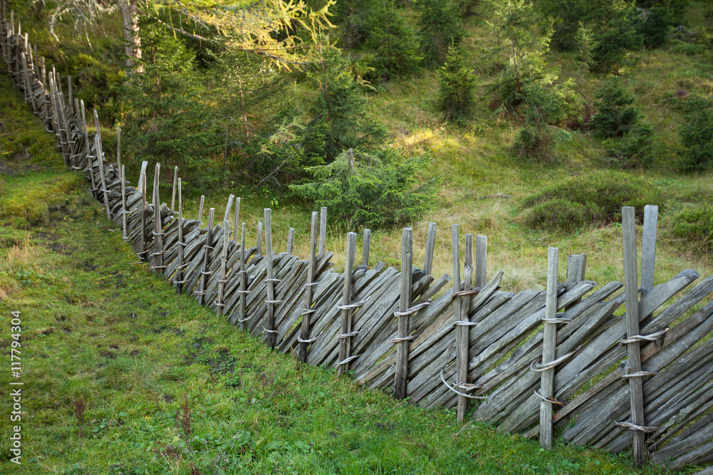 Fence inside a typical forest of the Italian Alps Fence inside a typical forest of the Italian Alps