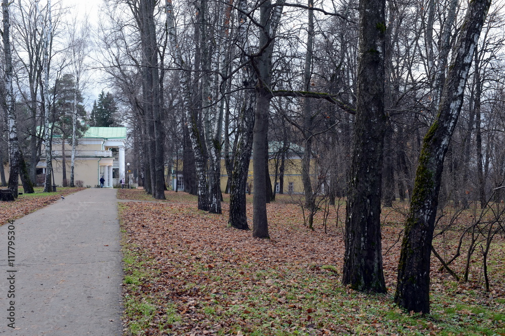 Fototapeta premium Autumn landscape in the Park of the Lenin hills