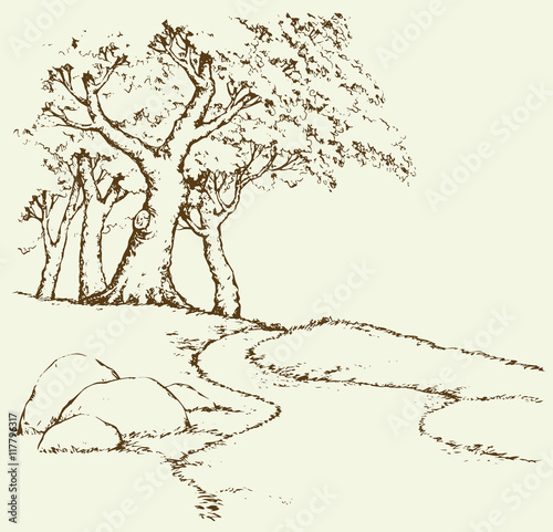Mountain landscape with oak trees. Vector drawing