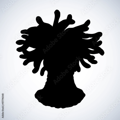 Sea anemone. Vector sketch