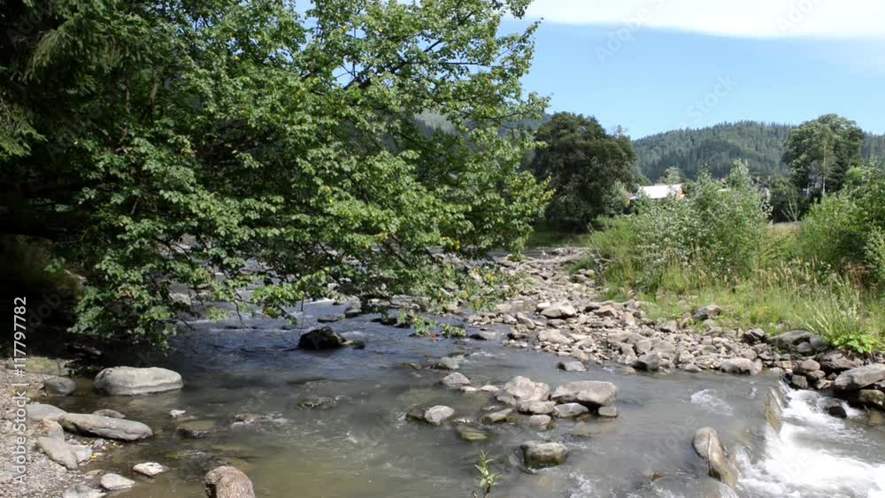 A river flows over rocks in this beautiful scene in the Carpathian mountains in summer A river flows over rocks in this beautiful scene in the Carpathian mountains in summer