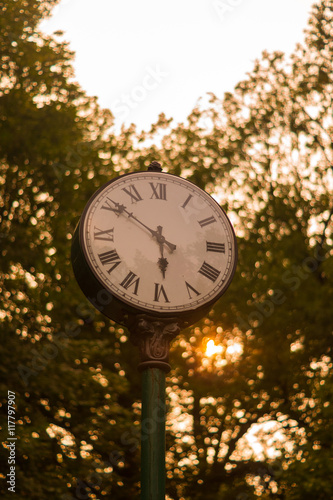 Street Clock in the park