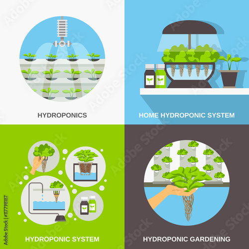 Hydroponics Flat Concept