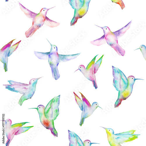 Seamless pattern of colored colibri  hand painted in a watercolor on a white background