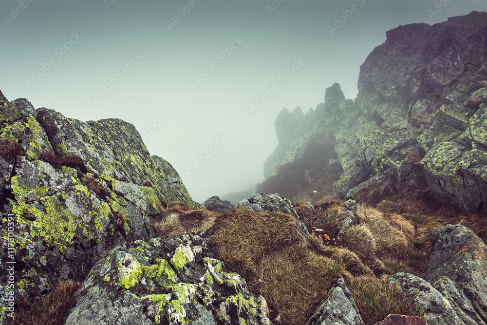 Obraz premium Mountains background
