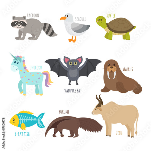 ABC. Cute zoo alphabet in vector. Funny cartoon animals. Raccoon