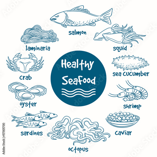 Healthy line doodle seafood. Vector hand drawn food of sea. Fish and seaweed, shrimp and shellfish