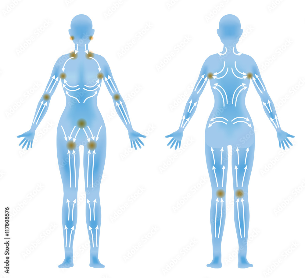 woman's body front / back and lymphatic massage diagram, Treatment of the swelling, vector illustration woman's body front / back and lymphatic massage diagram, Treatment of the swelling, vector illustration