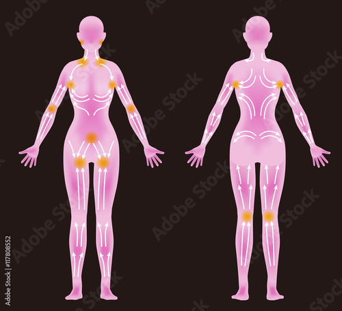 woman's body front / back and lymphatic massage diagram, Treatment of the swelling, vector illustration