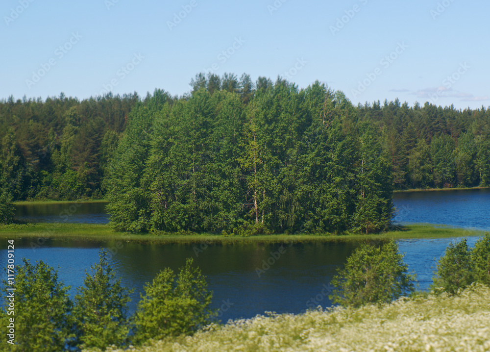 Wooded island on a lake