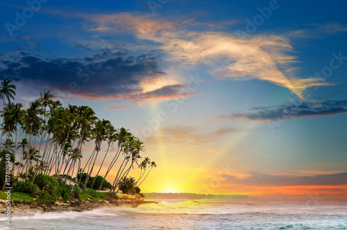 ocean  tropical palms and a beautiful sunset