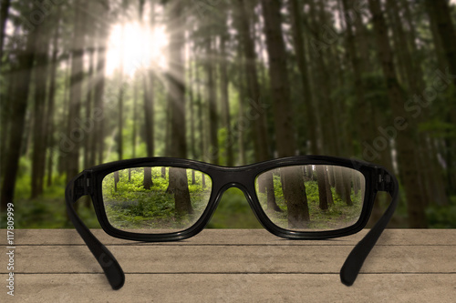 Fototapeta Naklejka Na Ścianę i Meble -  Brille im Wald macht aus unscharf scharf