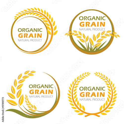 Circle paddy rice organic grain products and healthy food vector set design