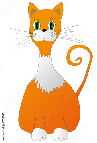 The ginger cat with white neck and paws sitting, isolated on white background, vector illustration