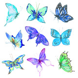Watercolor butterflies set. Blue, turquoise and green butterflies on white bcakground. Beautiful fragile creatures for decoration.