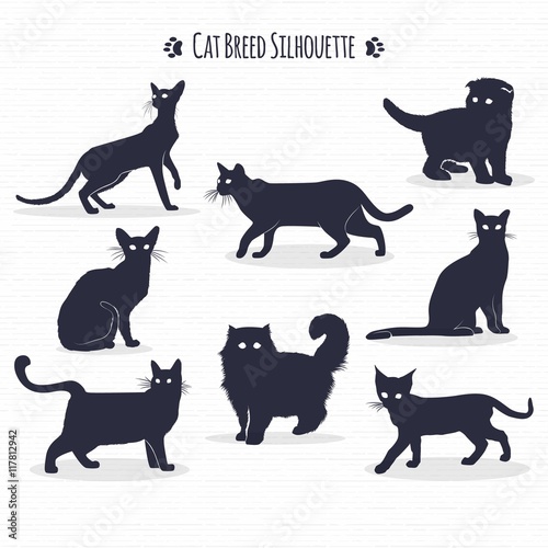 Photography Cat breed silhouette pack