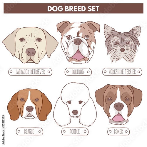 Dog breed drawn set 