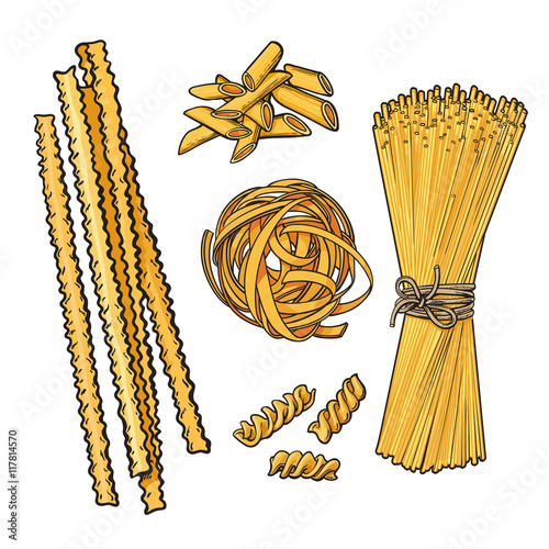 Big collection of italian pasta sketch style vector illustration isolated on white background. Set of spiral penne spaghetti mafalda pappardelle tagliatelle pasta. Different types of italian noodles