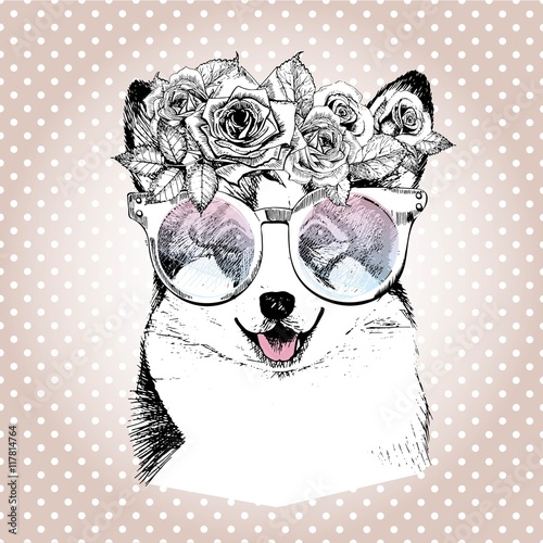 Vecotr portrait of dog, wearing the floral wreath and sunglasses. Wesh corgi pembroke breed. photo