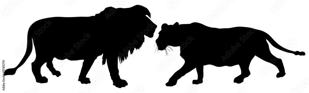 Fototapeta premium Lioness and lion in love, vector silhouette illustration isolated on white background.