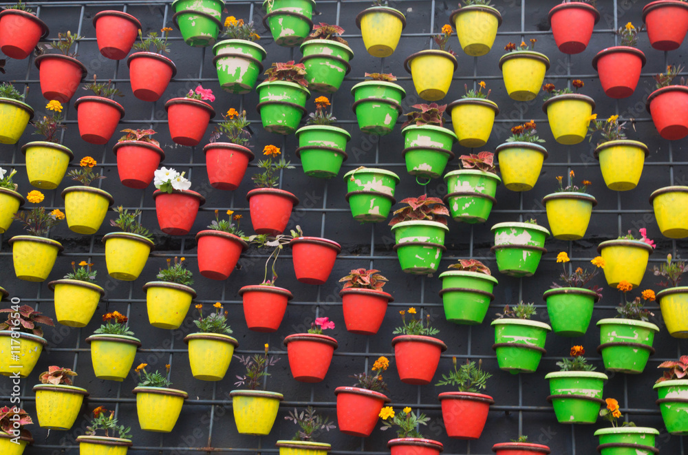 Fototapeta premium flower pots on the wall