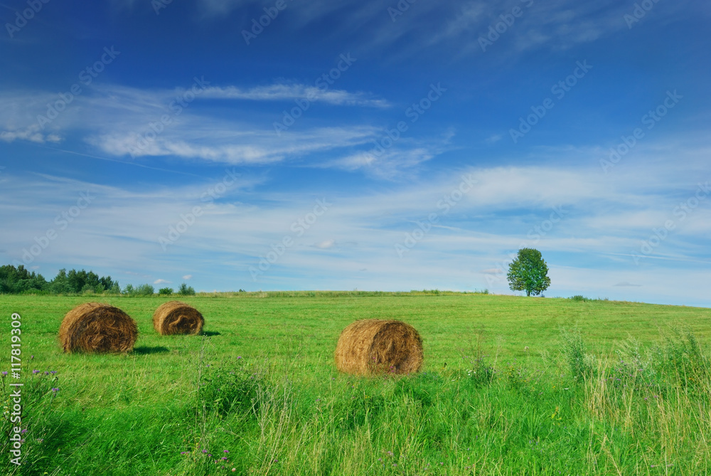 Lonely tree on the field with рay bales