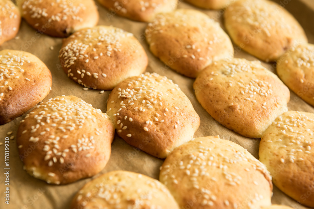 Homemade cookies on dripping pan. Selective focus. Close-up