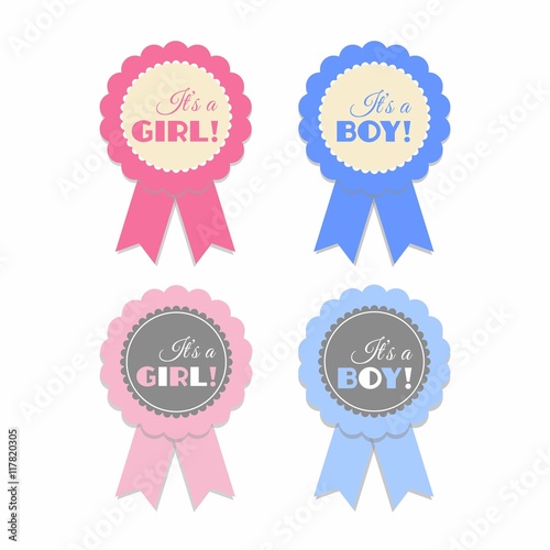 It's a girl, It's a boy pink and blue rosette vector isolated set