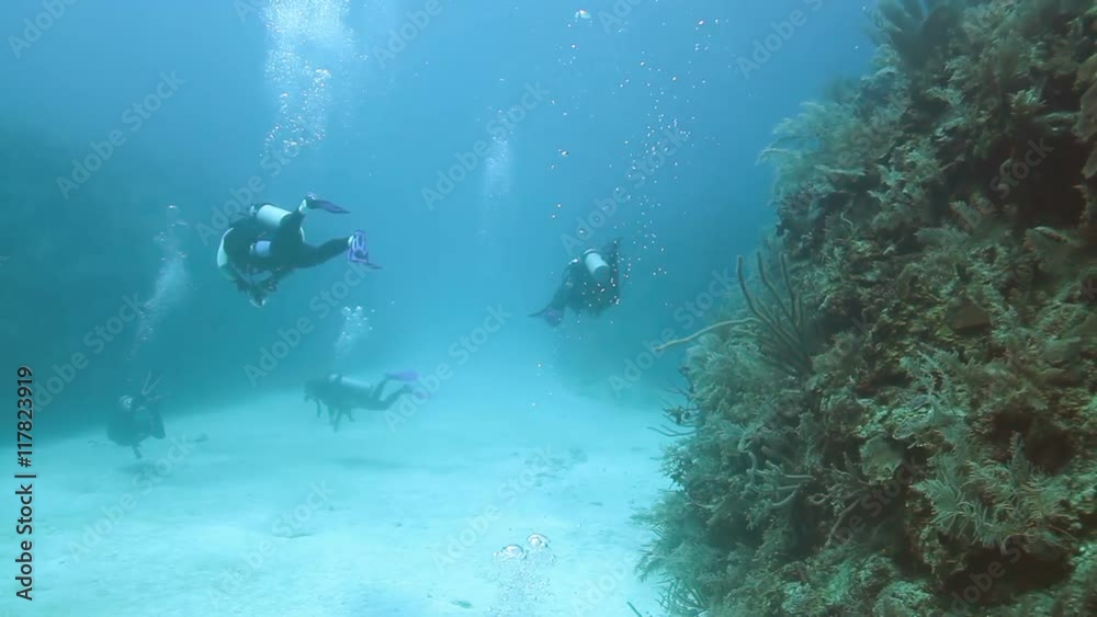 scuba diving a world's favourite dive destinations