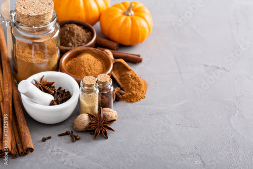 Fototapeta Naklejka Na Ścianę i Meble -  Pumpkin pie spice in a glass jar with ingredients