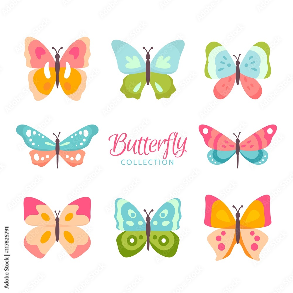 Colors kinds of butterflies Colors kinds of butterflies
