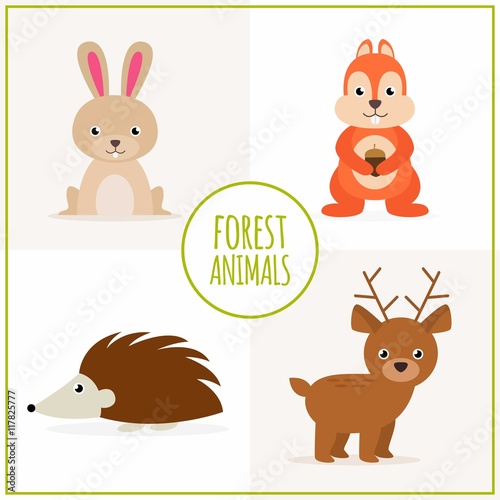 Hand drawn lovely forest animal collection