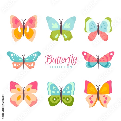 Colors kinds of butterflies © Freepik