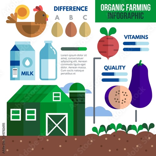 Infographic organic elements in flat design