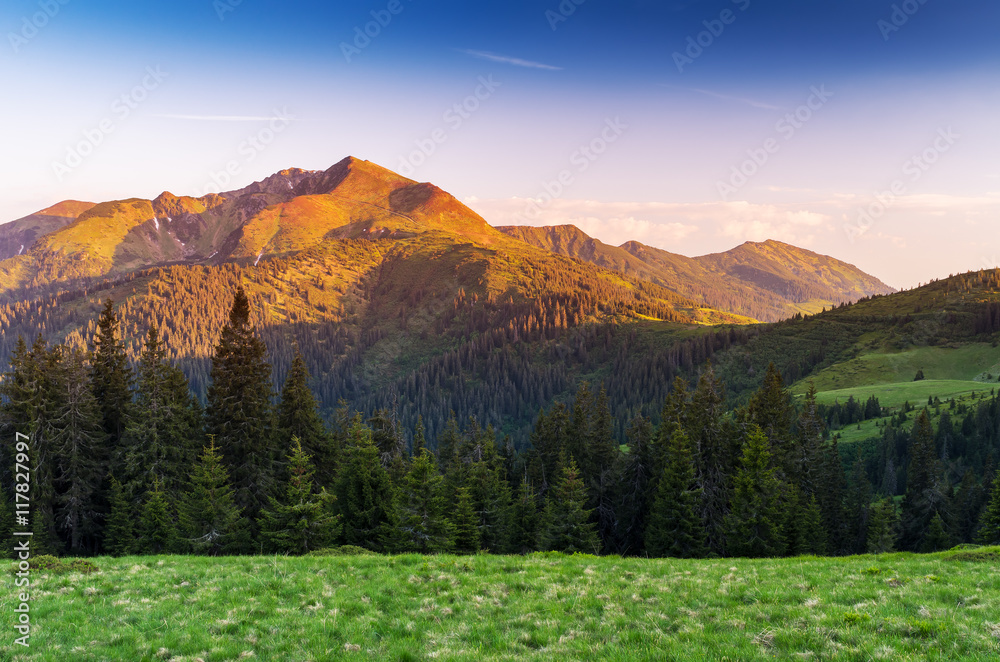 Summer landscape in the mountains with a beautiful sunrise Summer landscape in the mountains with a beautiful sunrise