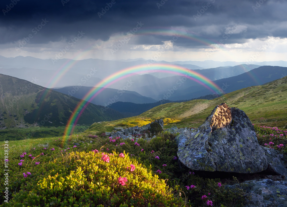 Fototapeta Lato krajobraz z tęczą i kwiatami w górach