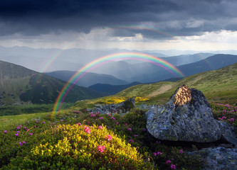 Fotobehang Zomer Regenboog boven bergweide met bloemen  © Oleksandr Kotenko