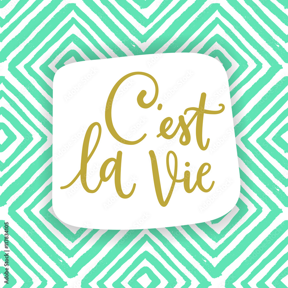 C'est la vie. French phrase means that's life. Hand draw calligraphic