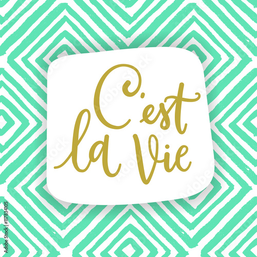 C'est la vie. French phrase means that's life. Hand draw calligraphic quote for fashion clothes and cards