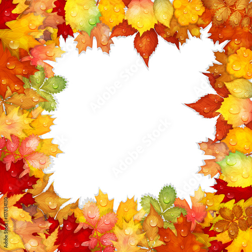 Autumn background with colorful leaves frame