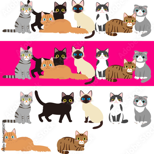 Fototapeta Naklejka Na Ścianę i Meble -  様々な種類の猫のイラストセット